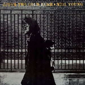 Cover of After the Gold Rush