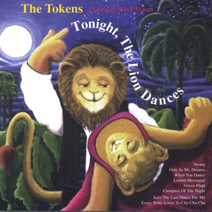 Hoes van Tonight the Lion Dances