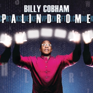 Cover of Palindrome