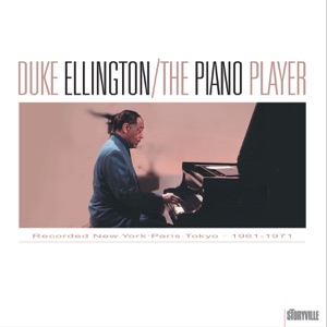 Cover of The Piano Player