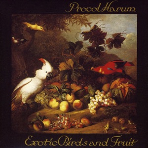 Hoes van Exotic Birds and Fruit