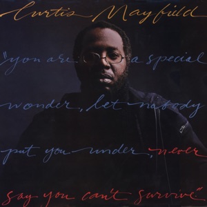 Cover of Never Say You Can’t Survive