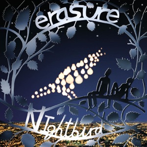 Cover of Nightbird
