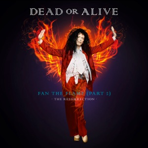 Cover of Fan the Flame (Pt. 2) (The Resurrection)
