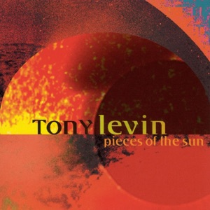 Cover of Pieces of the Sun
