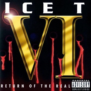 Hoes van VI: Return of the Real
