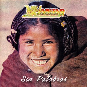 Hoes van Sin palabras