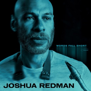 Cover of Words Fall Short