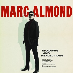 Cover of Shadows and Reflections