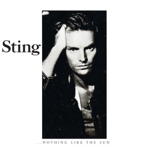 Cover of …Nothing Like the Sun