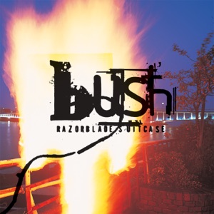 Cover of Razorblade Suitcase