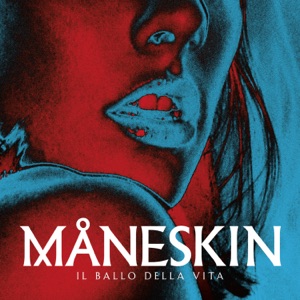 Hoes van Il ballo della vita