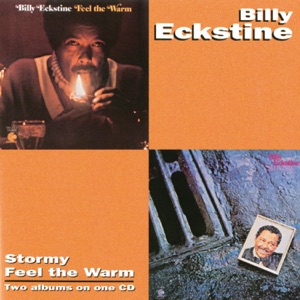 Cover of Stormy / Feel the Warm