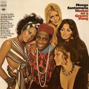 Cover of Workin’ on a Groovy Thing