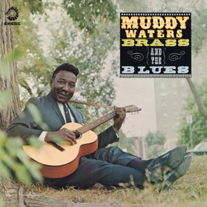 Hoes van Muddy, Brass and the Blues