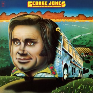 Cover of I Wanta Sing
