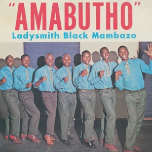 Cover of Amabutho