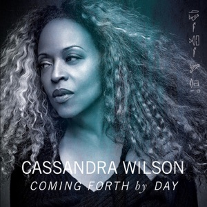 Cover of Coming Forth by Day