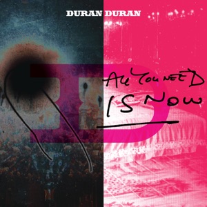 Cover of All You Need Is Now