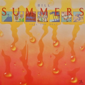 Cover of Feel the Heat