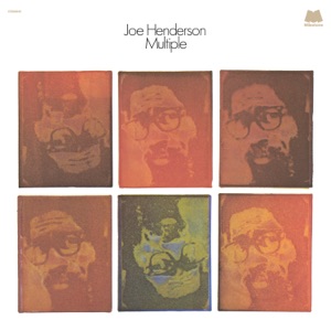 Cover of Multiple
