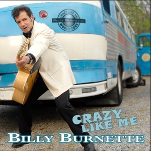 Cover of Crazy Like Me