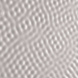 Cover of For