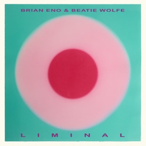 Cover of Liminal