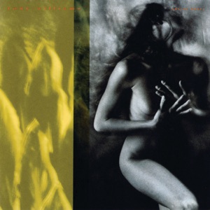 Cover of Native Heart