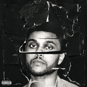 Cover of Beauty Behind the Madness