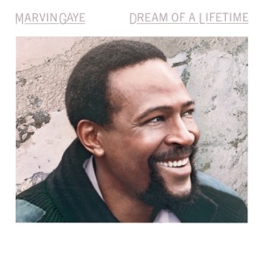 Hoes van Dream of a Lifetime