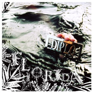 Hoes van Florida