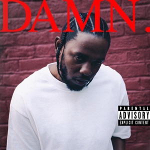 Cover of DAMN.