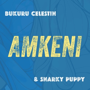 Cover of Amkeni