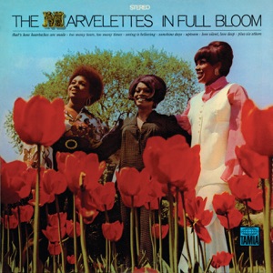 Cover of In Full Bloom