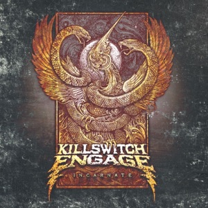 Cover of Incarnate