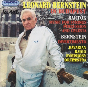 Hoes van Leonard Bernstein in Budapest