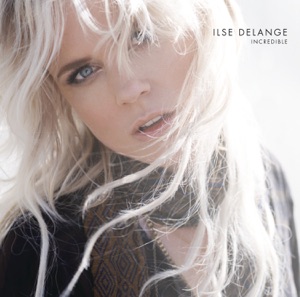 Cover of Incredible