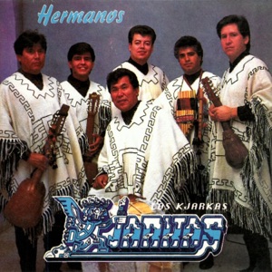 Cover of Hermanos
