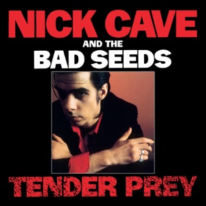 Hoes van Tender Prey