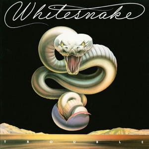 Cover of Trouble