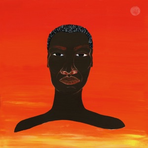 Cover of Stop the Hate