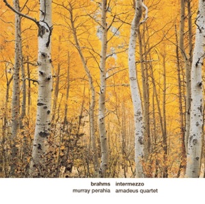 Cover of Intermezzo