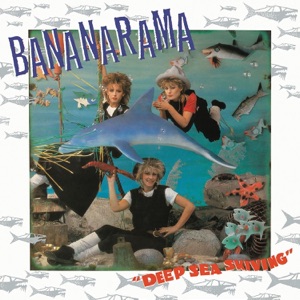 Cover of Deep Sea Skiving