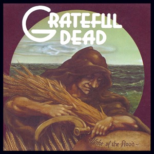 Cover of Wake of the Flood