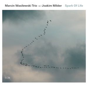 Hoes van Spark of Life