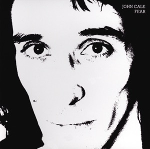 Cover of Fear
