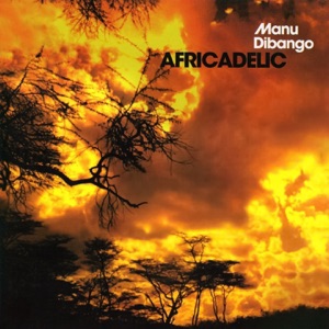 Cover of Africadelic