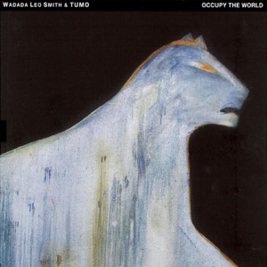 Cover of Occupy the World