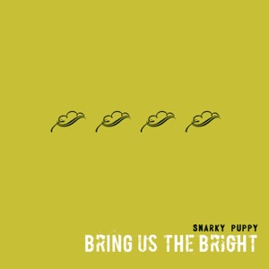 Cover of Bring Us the Bright